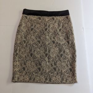 S Champagne Lace Pencil Skirt XXI